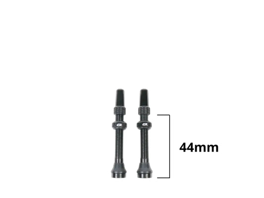 QUASAR Tubeless Ventielen