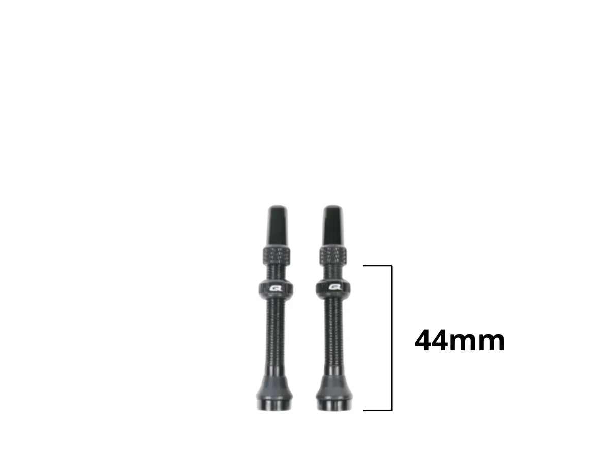 QUASAR Tubeless Ventielen